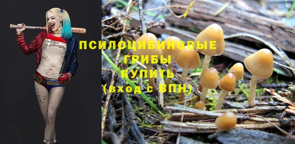 винт Алзамай