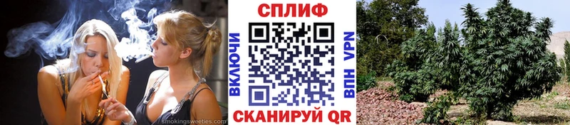 Шишки марихуана Bruce Banner  Данилов 